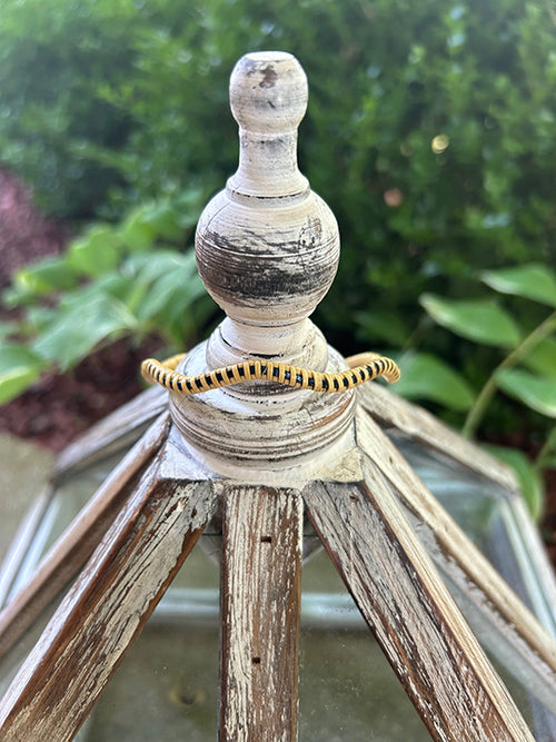 Ahoy Matey Wave